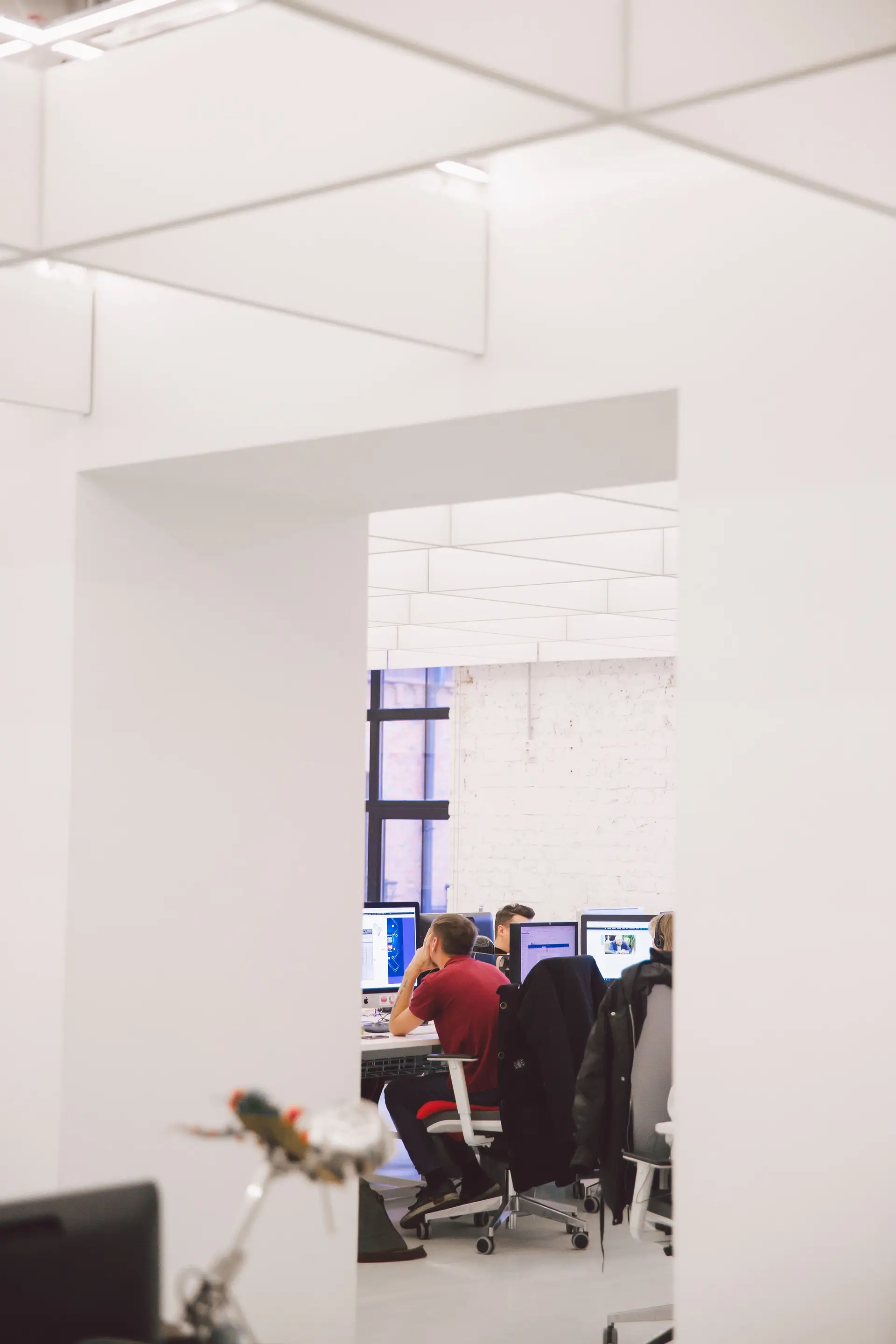 Lead Developer
